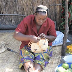 Weaving Makenge Bush Root Baskets in Zambia